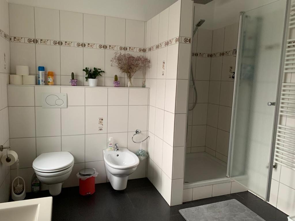 Guenstige Zimmer-Unterkunft Zimmer Mit Gemeinschaftsbad Lörrach Eksteriør billede